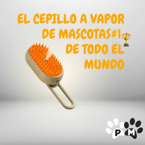 CEPILLO A VAPOR  Hydro Brush ®