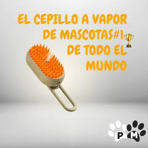 CEPILLO A VAPOR  Hydro Brush ®